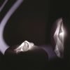 Delight - Image 2