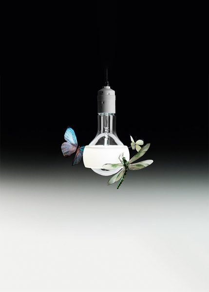 Johnny B. Butterfly from Ingo Maurer Pendants and Chandeliers by Ingo Maurer & Team
