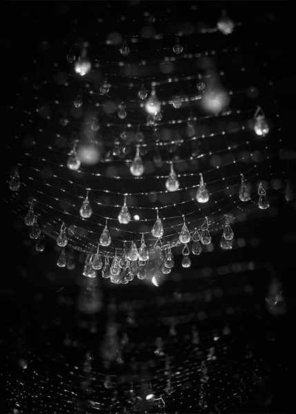 Lacrime Del Pescatore from Ingo Maurer Pendants and Chandeliers by Ingo Maurer