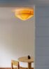 Hans Ceiling Light from Vaarnii Pendants & Chandeliers by Hans-Agne Jakobsson
					