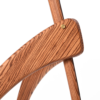 The Praying Mantis - Image 10
