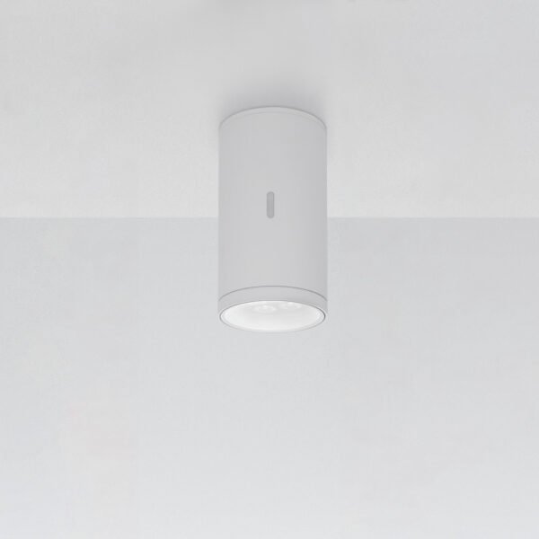 Calumet Outdoor Ceiling Light by Artemide
