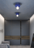 Firenze Flush-Mount from Venini Flush Mounts by Ettore Sottsass