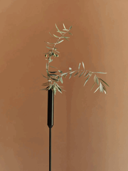 Baton Vas Ronan Bouroullec BD Barcelona